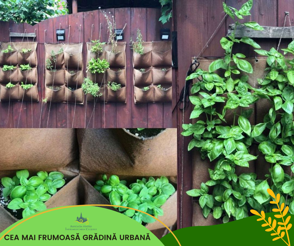 Nouă proiecte florale au câștigat premii la concursul ’’Clujul cu flori’’ 2021