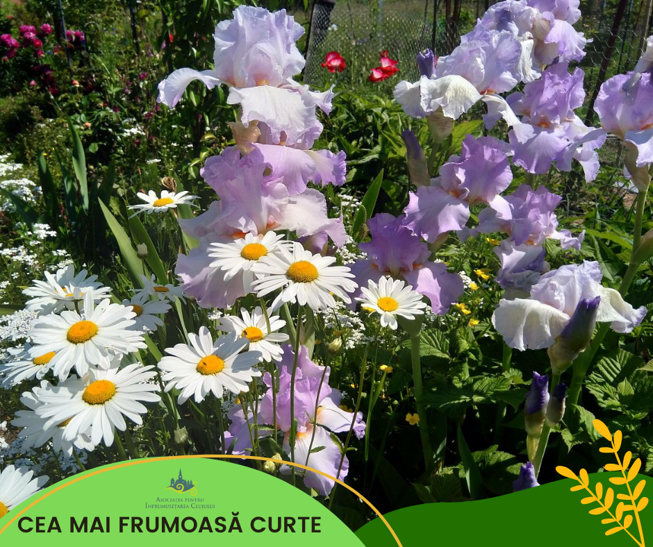 Nouă proiecte florale au câștigat premii la concursul ’’Clujul cu flori’’ 2021