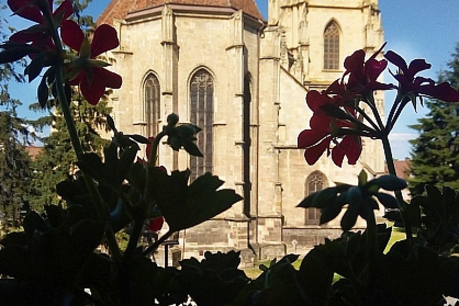 The Cluj/Kolozsvár Town Embellishment Society announces a call for applications entitled Flowered Cluj 